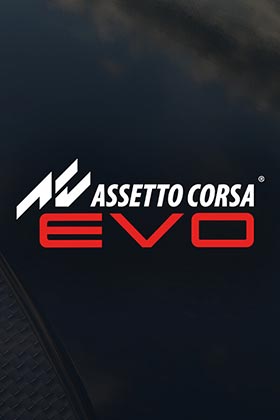 
    Assetto Corsa EVO
