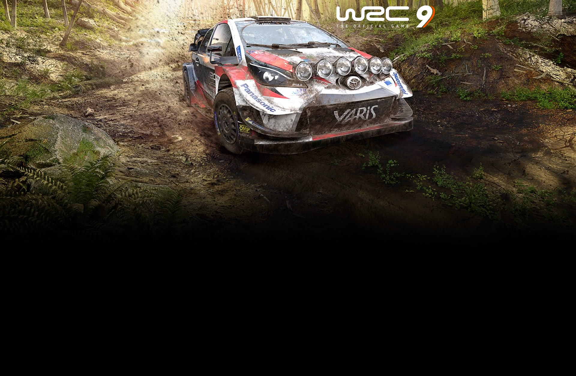 wrc 9 multiplayer modes